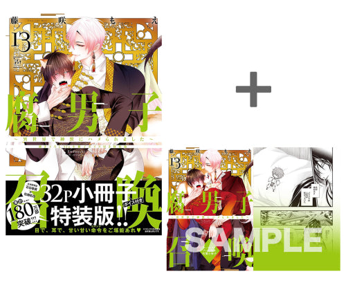 【有償特典付き】腐男子召喚~異世界で神獣にハメられました~(13)【描き下ろし32p小冊子ボイス付き特装版】