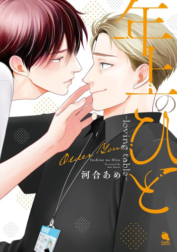 年上のひと (全4冊)