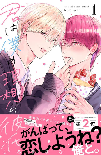 君は僕の理想の彼氏 (1巻 最新刊)