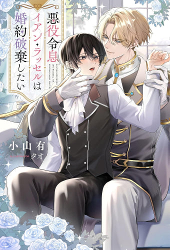 [写真追加] 漫画＆ライトノベルまとめ売り　目算約2200冊 Amazon.co.jp: その劣等騎士、レベル999 (GA文庫) : 白石 新: 本