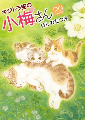 キジトラ猫の小梅さん (1-29巻 最新刊)
