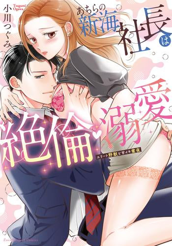 あちらの新海社長は絶倫・溺愛 ~エリート野獣と甘イキ蜜夜 (1巻 全巻)