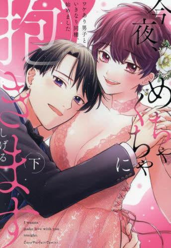 今夜、めちゃくちゃに抱きます ~ワケあり男子といきなり同棲、始めました~ (1-2巻 全巻)