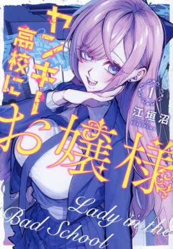 ヤンキー高校にお嬢様 (1巻 最新刊)