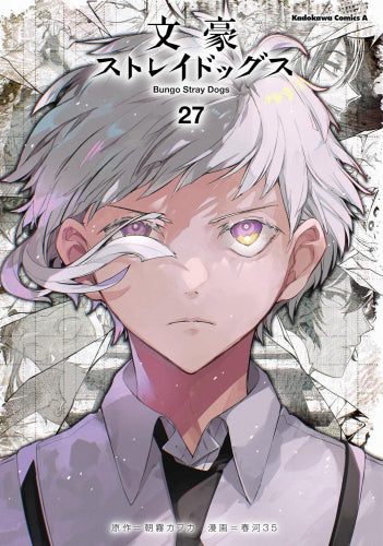 文豪ストレイドッグス (1-28巻 最新刊)