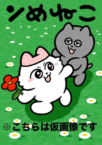 ンめねこ (1巻 全巻)