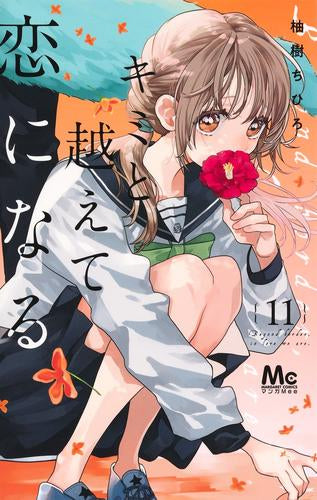 キミと越えて恋になる (1-10巻 最新刊) – world-manga10
