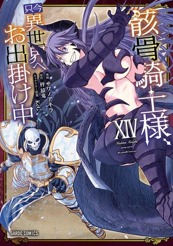骸骨騎士様、只今異世界へお出掛け中 (全16冊)