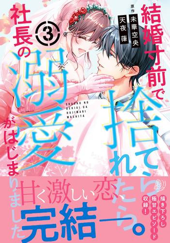 結婚寸前で捨てられたら社長の溺愛がはじまりました (1-3巻 全巻)