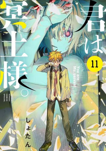 君は冥土様。 (1-11巻 最新刊)