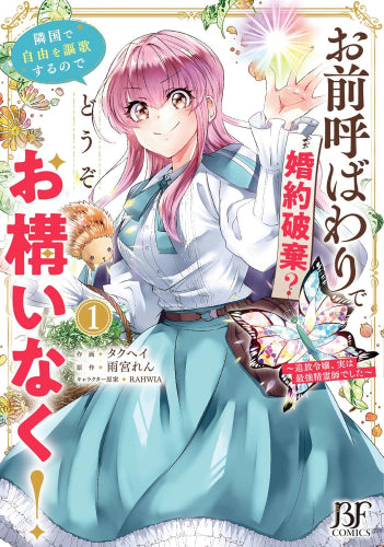 お前呼ばわりで婚約破棄?隣国で自由を謳歌するのでどうぞお構いなく!~追放令嬢、実は最強精霊師でした~ (1巻 最新刊)