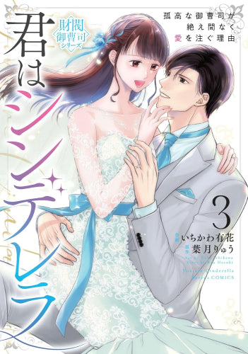 君はシンデレラ ~孤高な御曹司が絶え間なく愛を注ぐ理由~【財閥御曹司シリーズ】 (1-3巻 全巻)