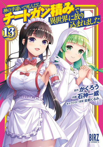 神の手違いで死んだらチートガン積みで異世界に放り込まれました (1-13巻 最新刊)