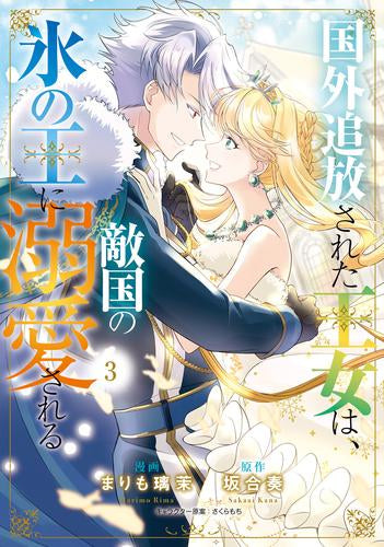 国外追放された王女は、敵国の氷の王に溺愛される (1-3巻 最新刊)