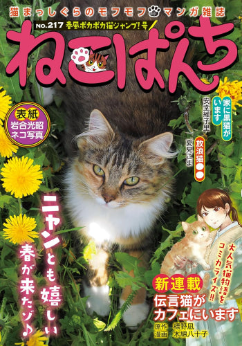 ねこぱんち 春風ポカポカ猫ジャンプ!号 (1巻 全巻)