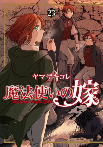 魔法使いの嫁 (1-23巻 最新刊)