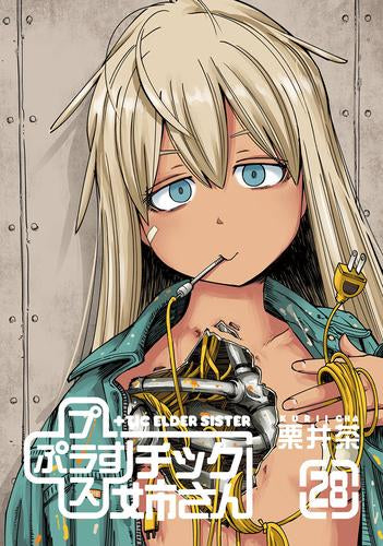 プラスチック姉さん (+)チック姉さん (1-28巻 最新刊)