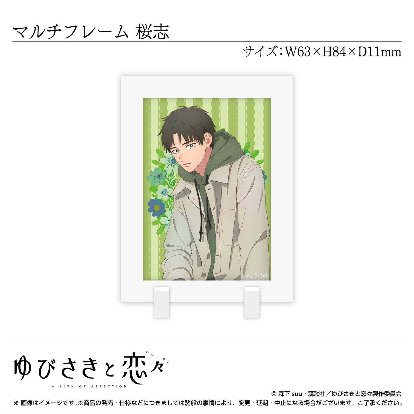 マルチフレーム 芦沖桜志