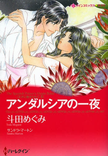 アンダルシアの一夜