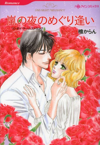 嵐の夜のめぐり逢い