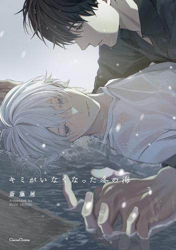 キミがいなくなった冬の海 (1巻 全巻)