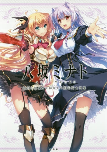 八坂ミナト ART WORKS 剣刻の銀乙女&赫竜王の盟約騎士画集