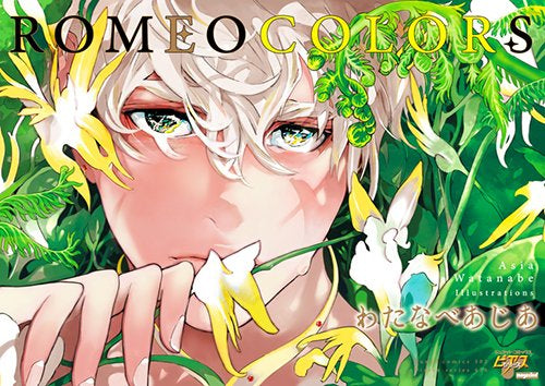 【画集】ROMEO COLORS