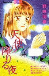 天使の降りる夜 (全1巻)