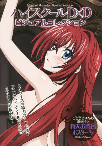 ハイスクールD×Dビジュアルコレクション