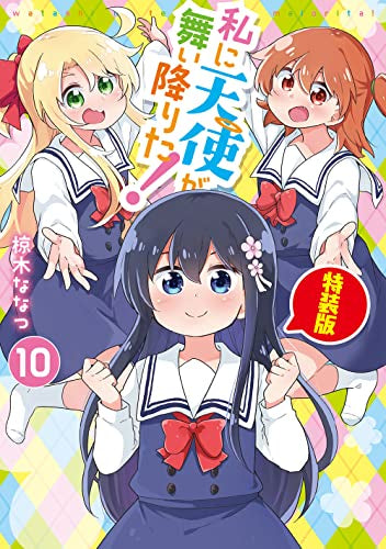 私に天使が舞い降りた!(10) 特装版