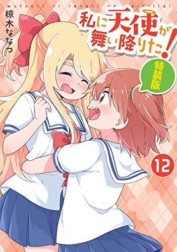 私に天使が舞い降りた!(12) 特装版