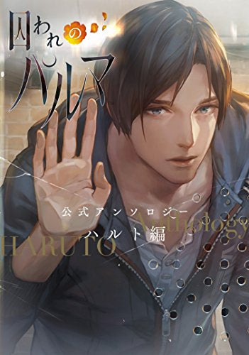 囚われのパルマ 公式アンソロジー ハルト編 (1巻 全巻)