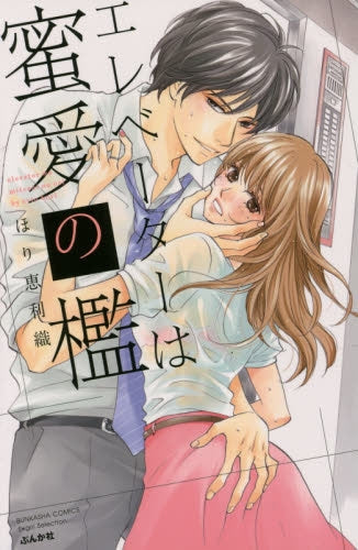 エレベーターは蜜愛の檻