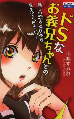 ドSなお義兄ちゃんとの新しい恋のはじめ方教えてくださいっ!