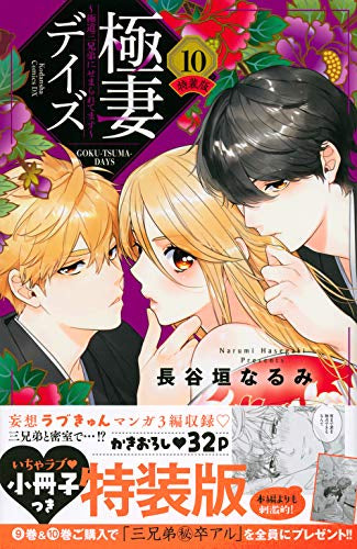 極妻デイズ~極道三兄弟にせまられてます~(10) 特装版
