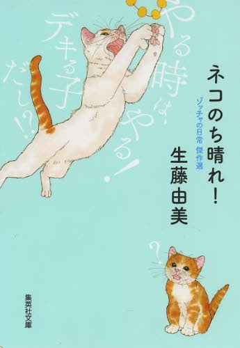 ネコのち晴れ! ゾッチャの日常傑作選