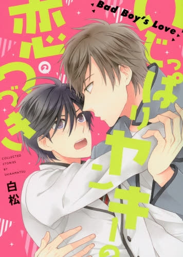 いじっぱりヤンキーの恋のつづき