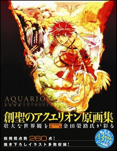 Aquarion illustrations 金田榮路art