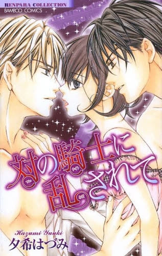 対の騎士に乱されて