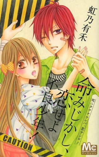 命みじかし、恋せよ不良少年!