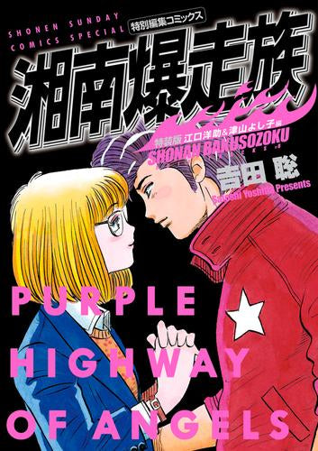 湘南爆走族 特装版 (1-8巻 最新刊)