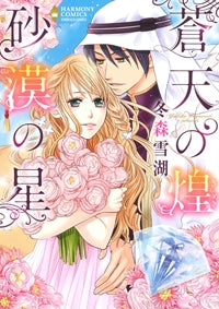 蒼天の煌めき 砂漠の星