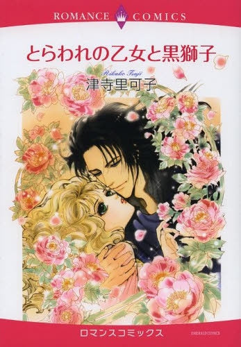 とらわれの乙女と黒獅子