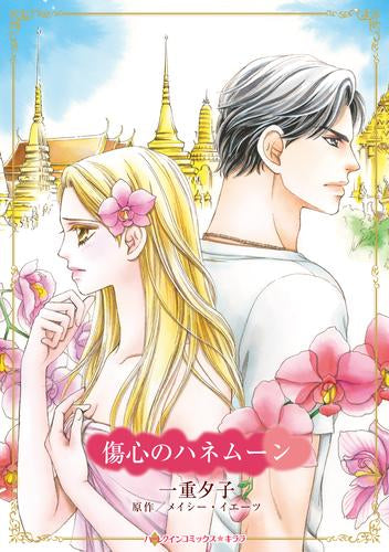 傷心のハネムーン (1巻 全巻)