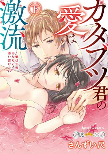 カタブツ君の愛は激流~俺は生涯あなたと添い遂げたい~(1-2巻 全巻)