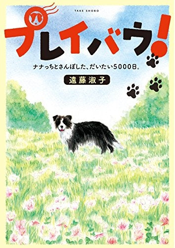 プレイバウ! ナナっちとさんぽした、だいだい5000日。