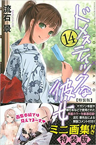 ドメスティックな彼女(14) 特装版