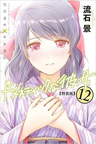 ドメスティックな彼女(12) 特装版