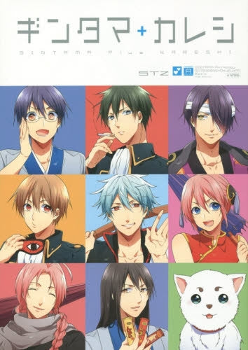 銀魂コミックアンソロジー総天然色図鑑外伝 ギンタマ+カレシ