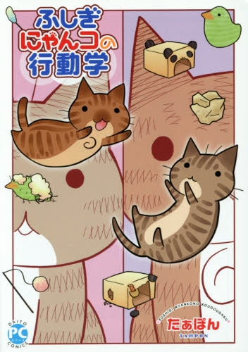 ふしぎにゃんコの行動学